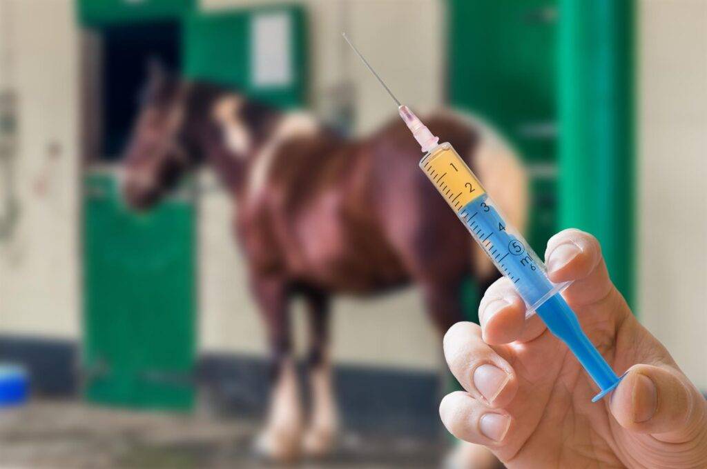 5 Way Vaccine for Horses
