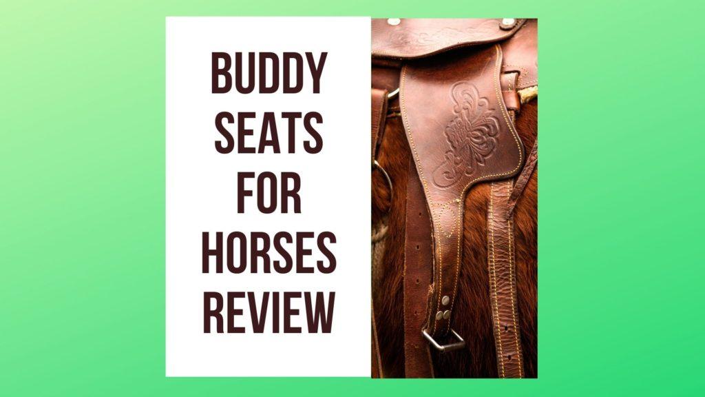 Buddy Seats for Horses Review