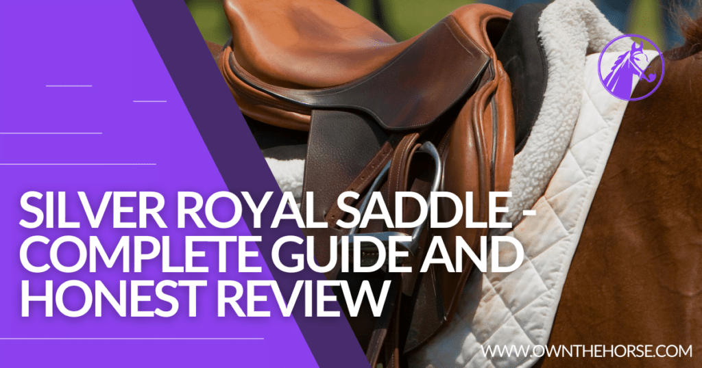 Silver Royal Saddle - Complete Guide and Honest Review