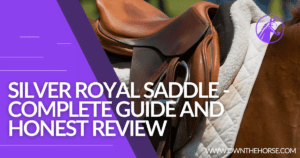 Read more about the article Silver Royal Saddle – Complete Guide and Honest Review