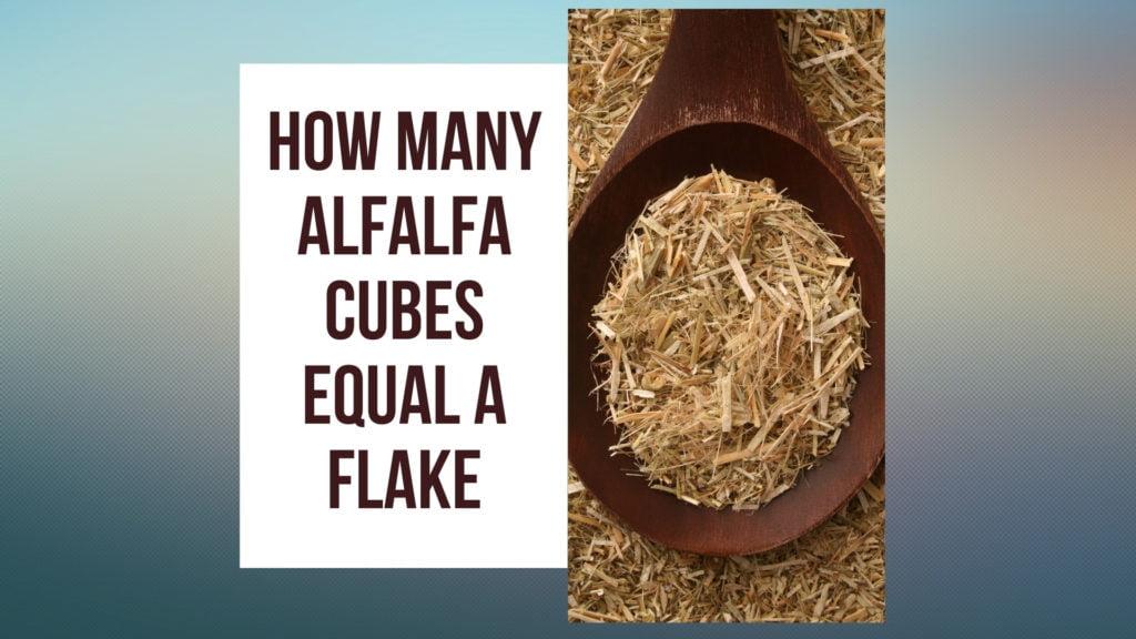 How Many Alfalfa Cubes Equal a Flake