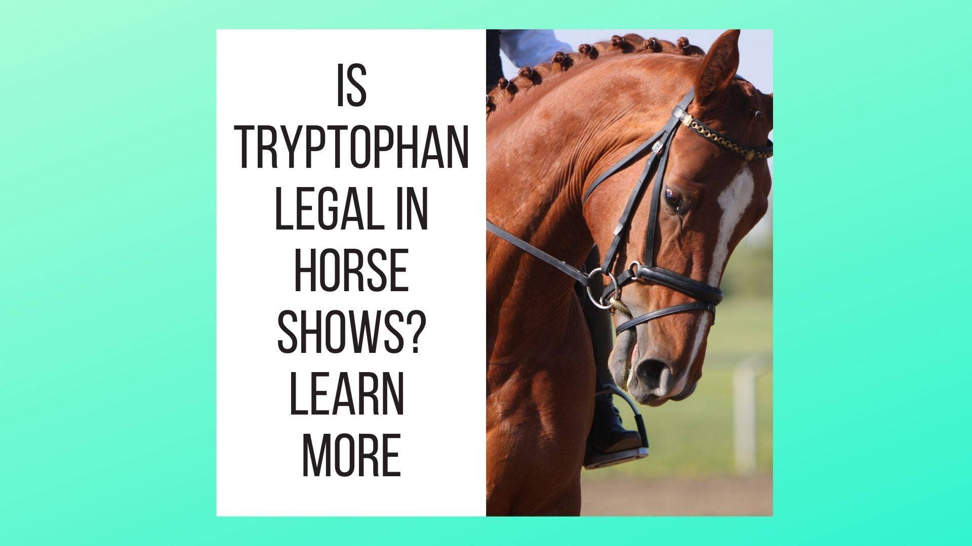 Is Tryptophan Legal in Horse Shows