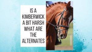 Is a Kimberwick Bit Harsh