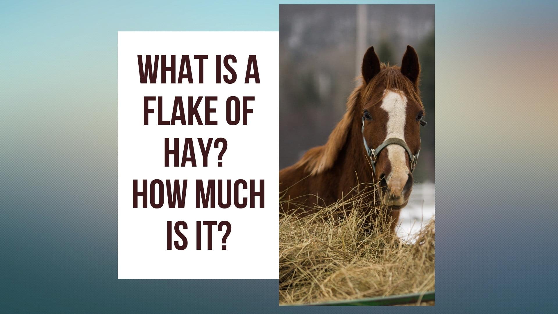 What is a Flake of Hay