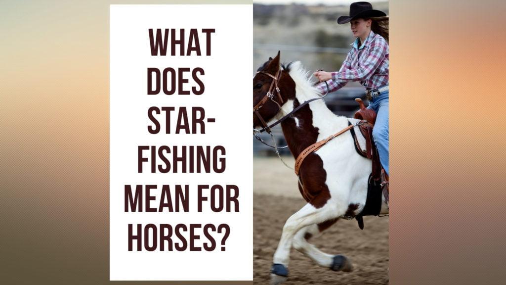 What Does Starfishing Mean for Horses? 2022 Guide