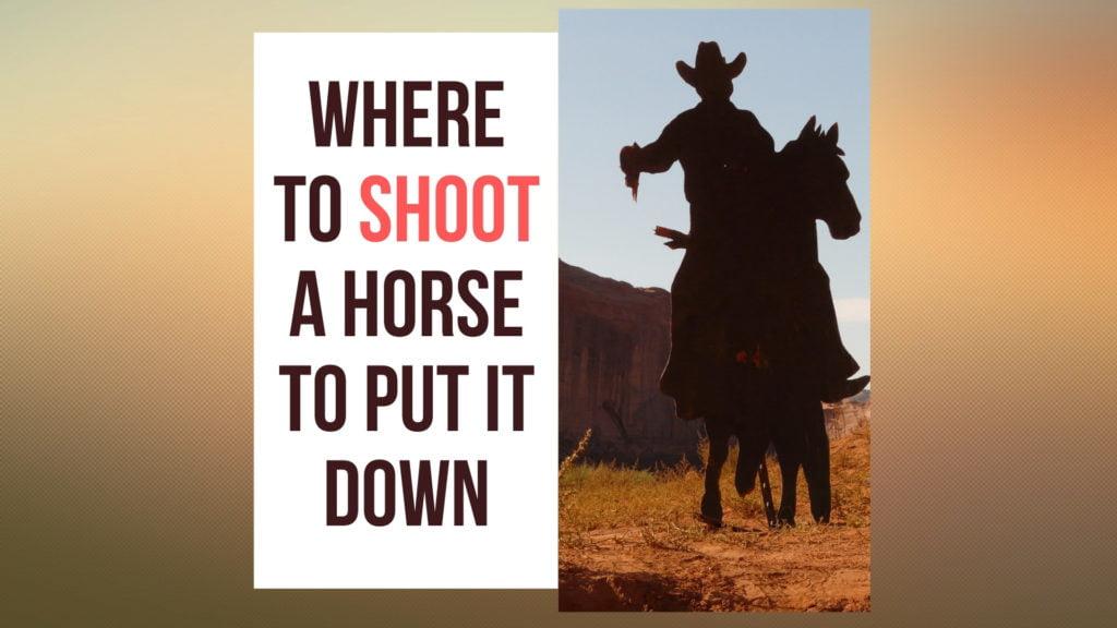 Where to Shoot a Horse to Put it Down