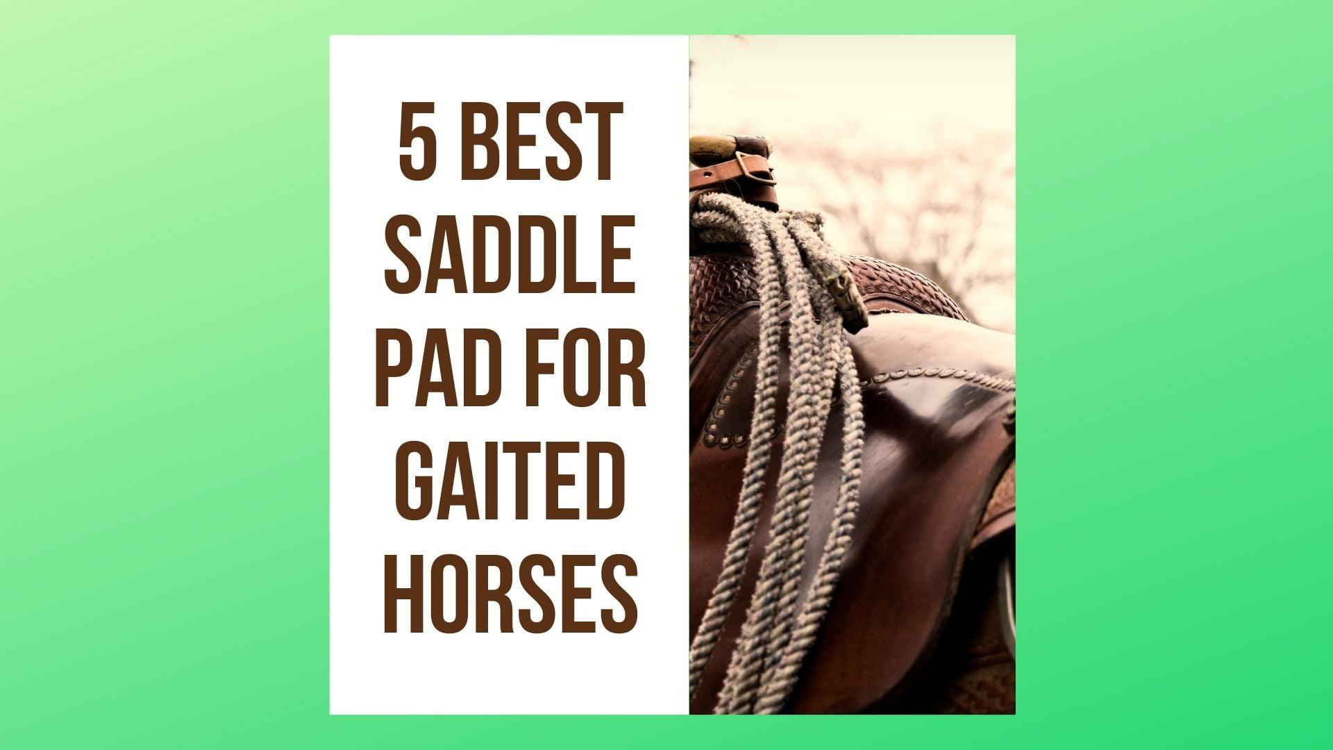 5 Best Saddle Pad for Gaited Horses