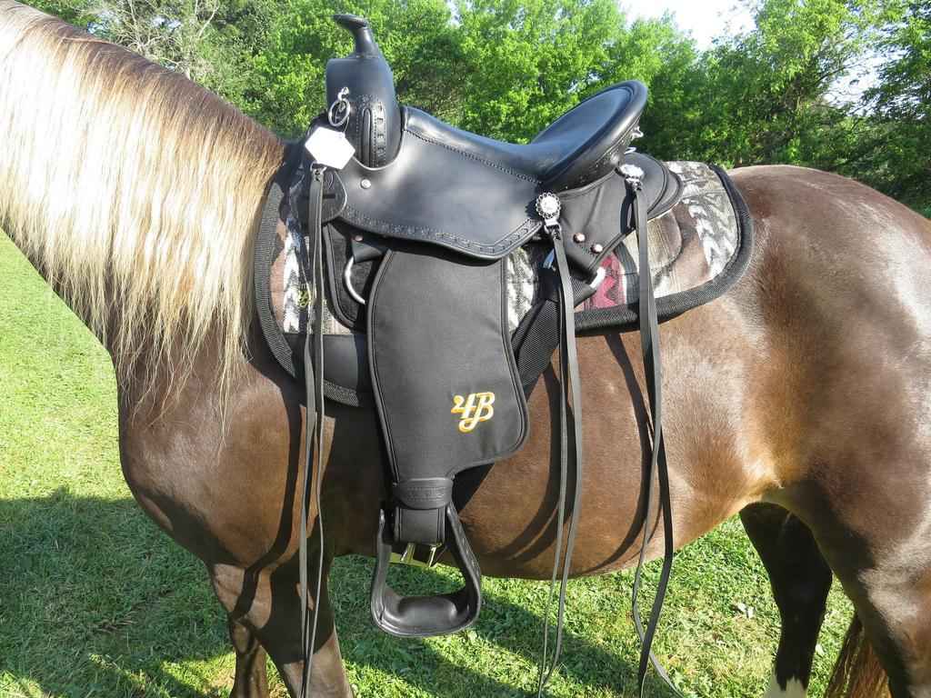 Best Saddle Pad for Gaited Horses
