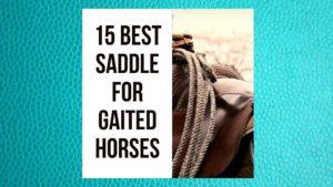 15 Best Saddle for Gaited Horses for Endurance