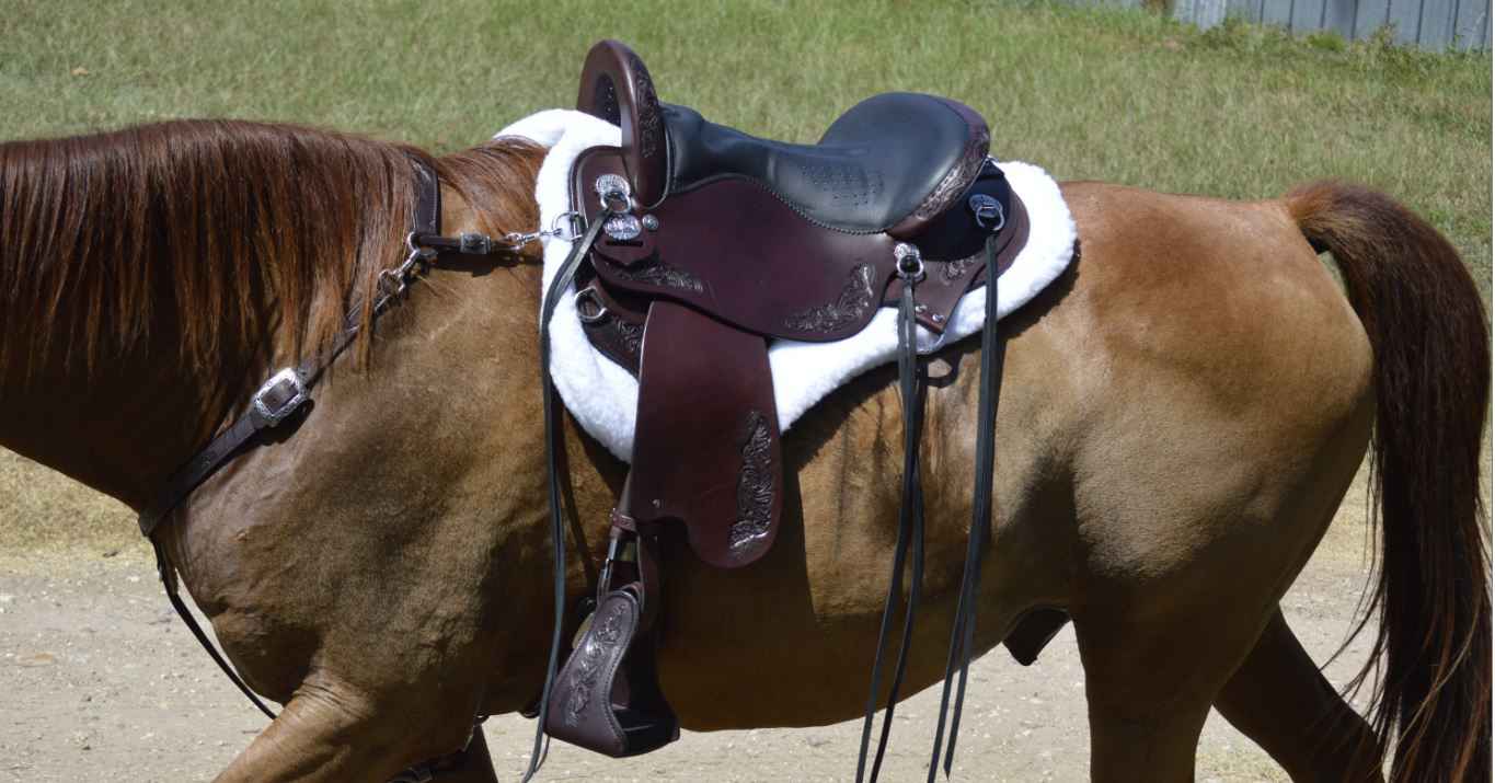 Best Saddle for Gaited Horses