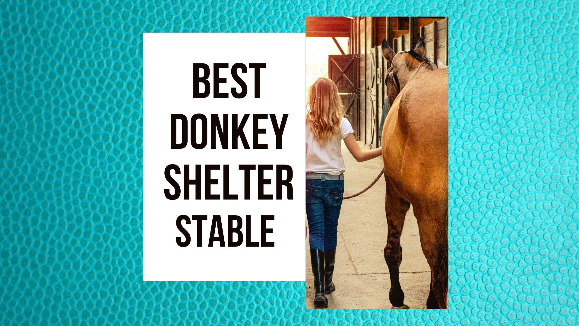 Best Donkey Stable and shelter