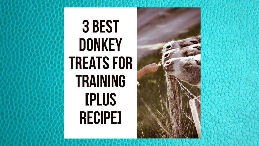 3 Best Donkey Treats for Training [Plus RECIPE]
