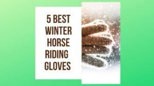 5 Best Winter Horse Riding Gloves [Fingerless & Thermal included]