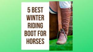 5 Best Winter Riding Boot for Horses [UK, US, Canada]