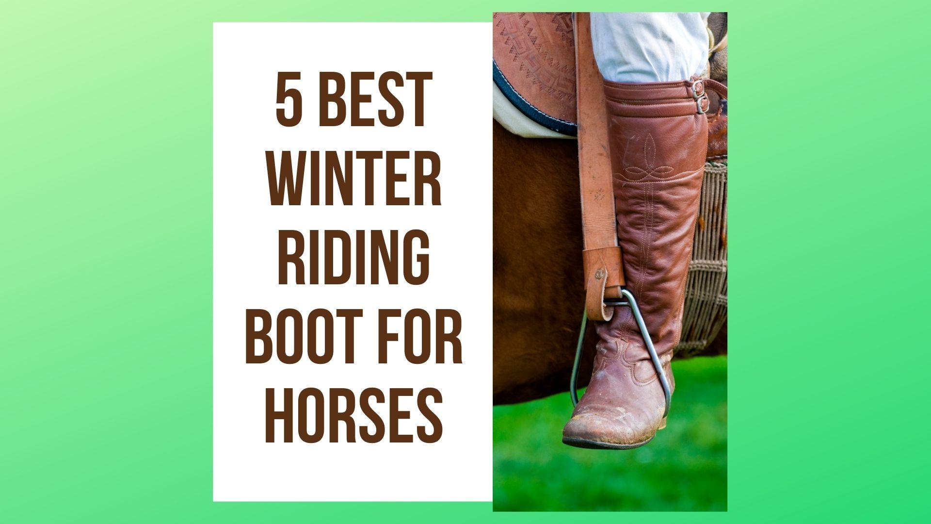 5 Best Winter Riding Boot for Horses