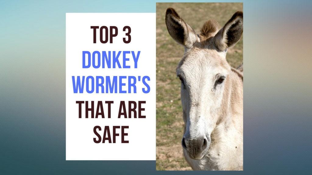 Donkey Wormers that are Safe