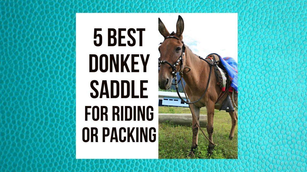 Donkey Saddle for Riding or Packing