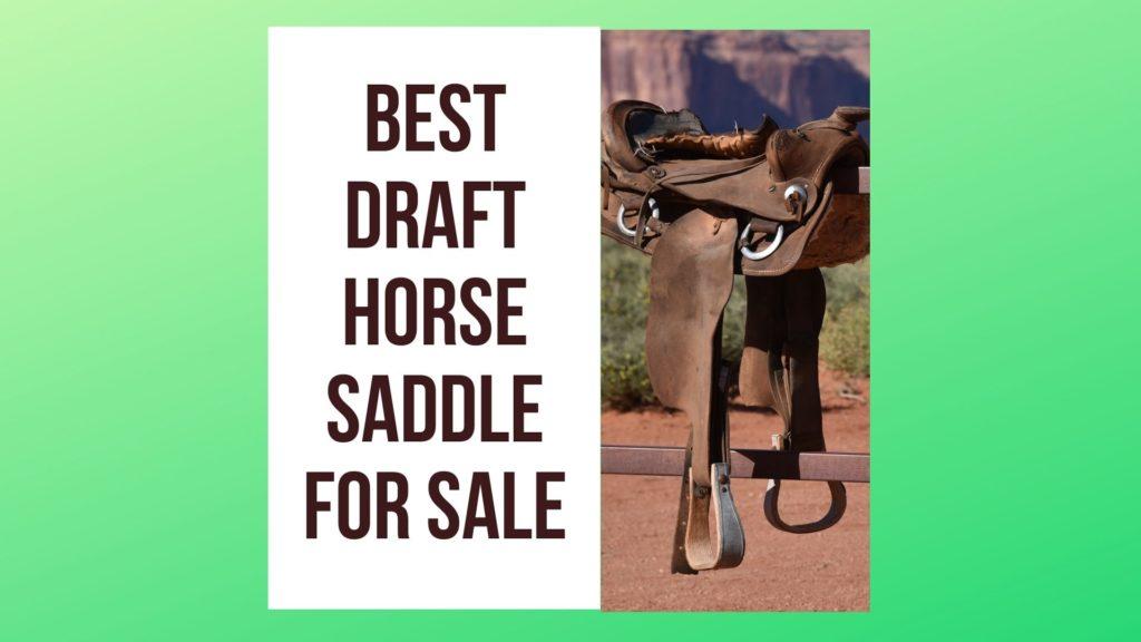 Best Draft Horse Saddle for Sale