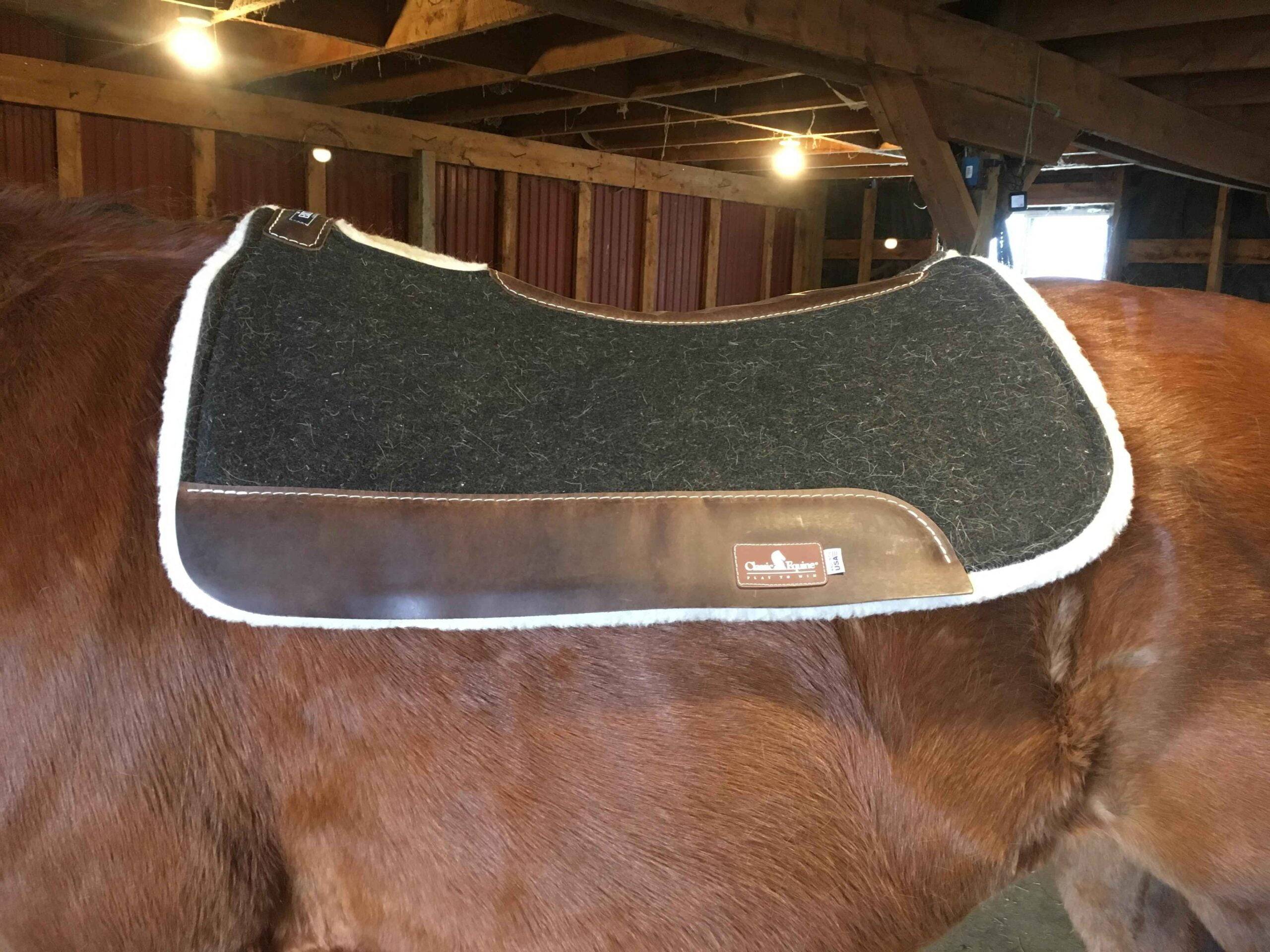 Best Western Saddle Pad for High Withered Horse
