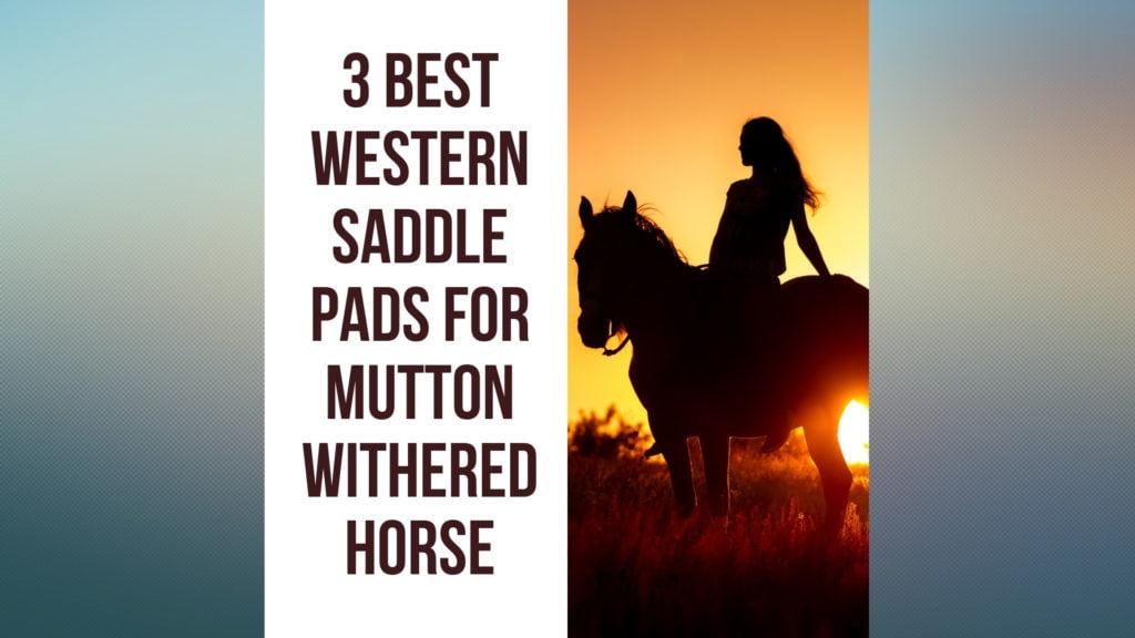 3 Best Western Saddle Pad for Mutton Withered Horse