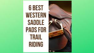 6 Best Western Saddle Pads for Trail Riding (And COMFY Horses) in 2022