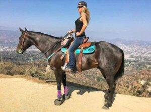 Best Western Saddle Pads for Trail Riding