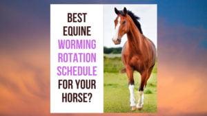 Is Rotational Worming Horses the Best? Find Out