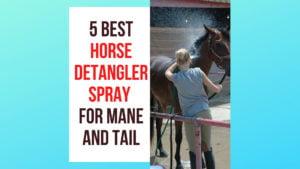 5 Best Horse Detangler Spray for Mane and Tail? in 2022