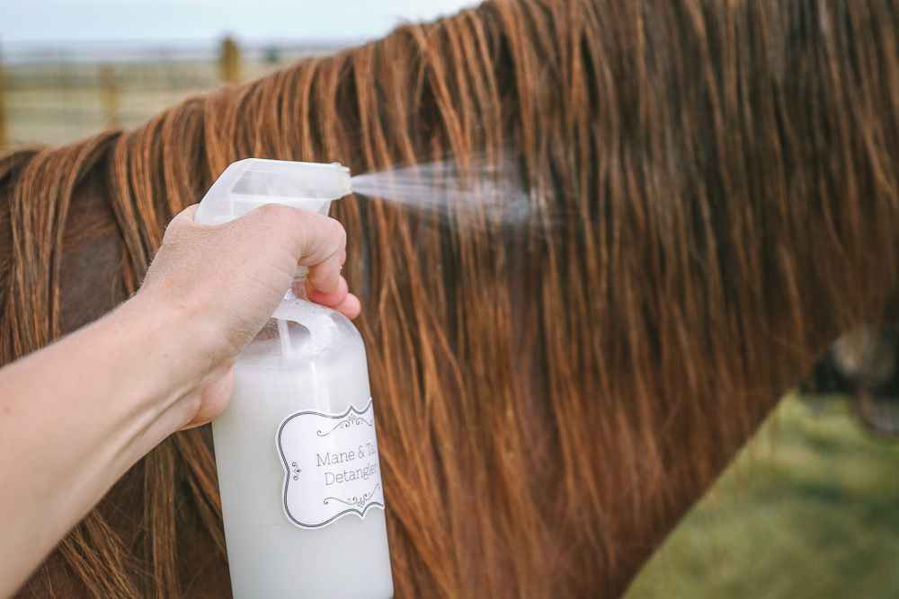 Best Horse Detangler Spray