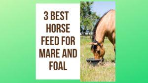 3 RECOMMENDED & Best Horse Feed For Mare and Foal