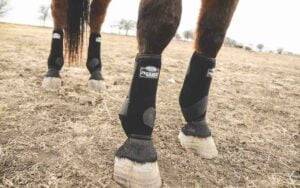Best Horse Knee Boots