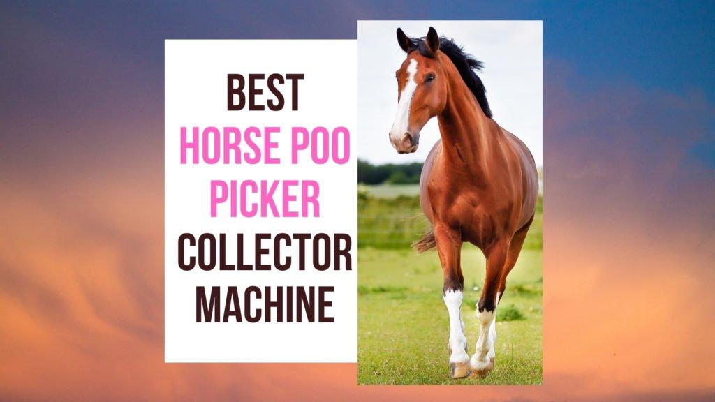 Best Horse Poo Picker Machine