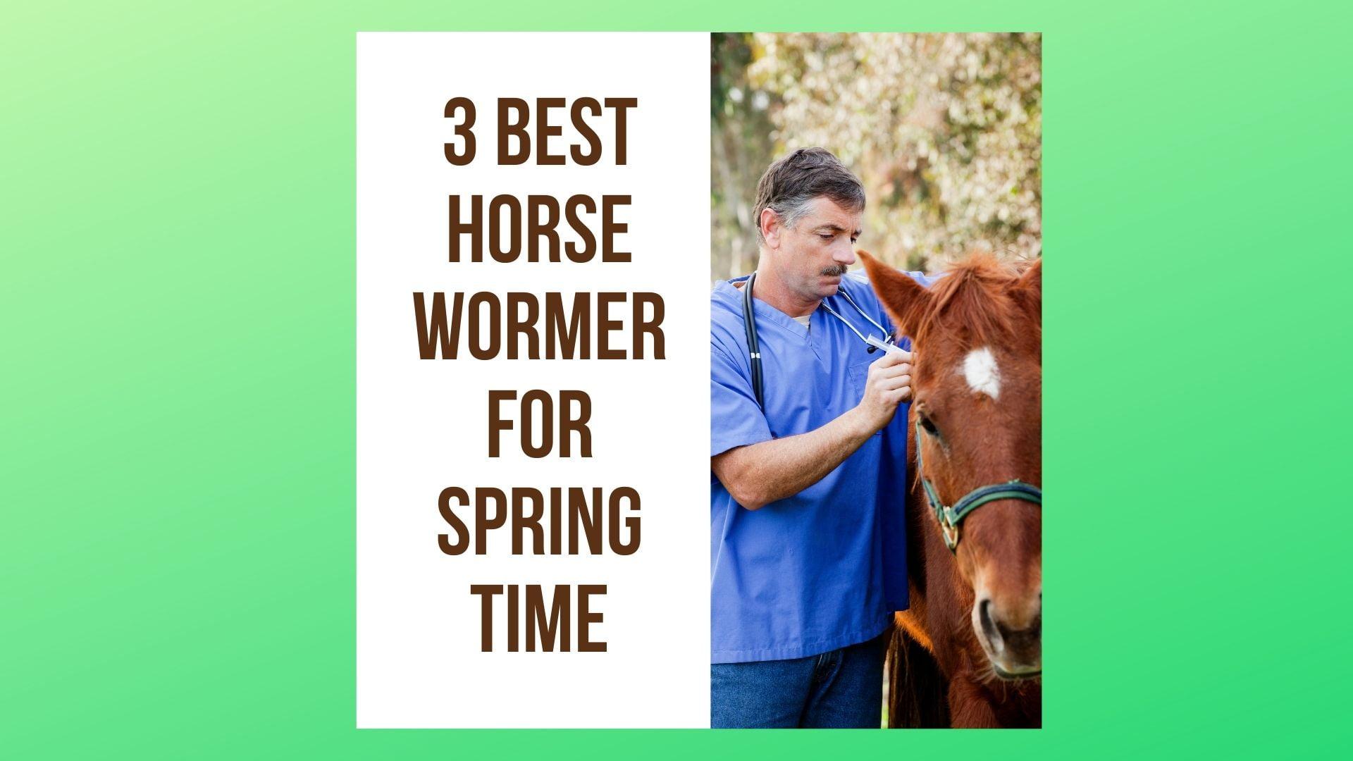 3 Best Horse Wormer For Spring Time
