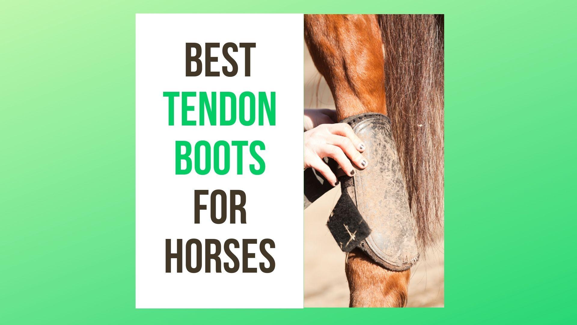 Best Tendon Boots for Horses