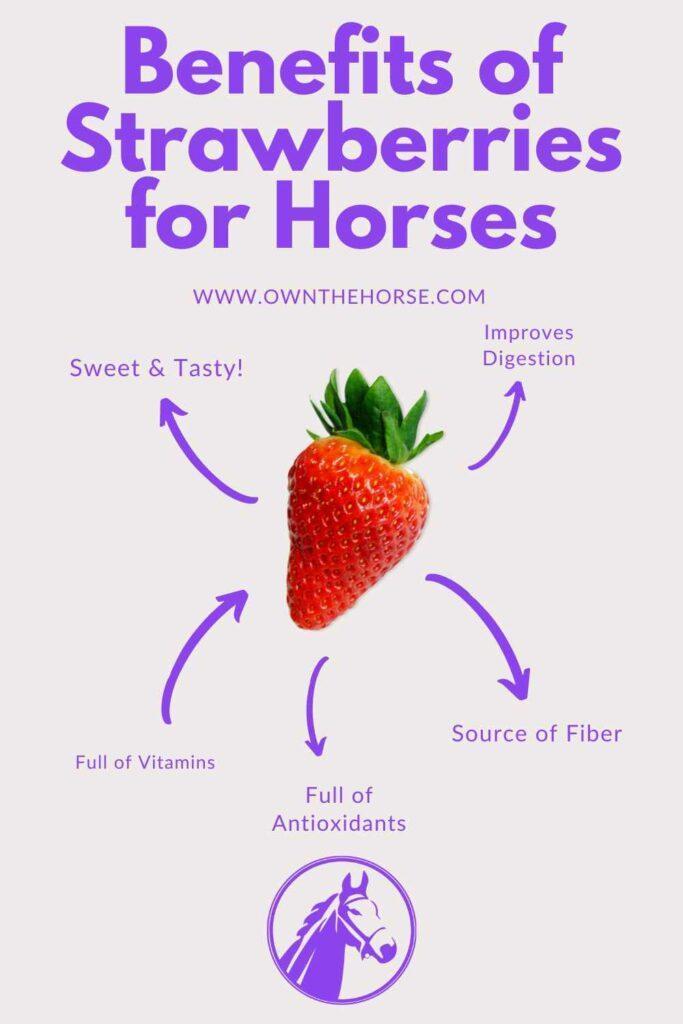 Can Horses Eat Strawberries Benefits of Strawberries for Horses