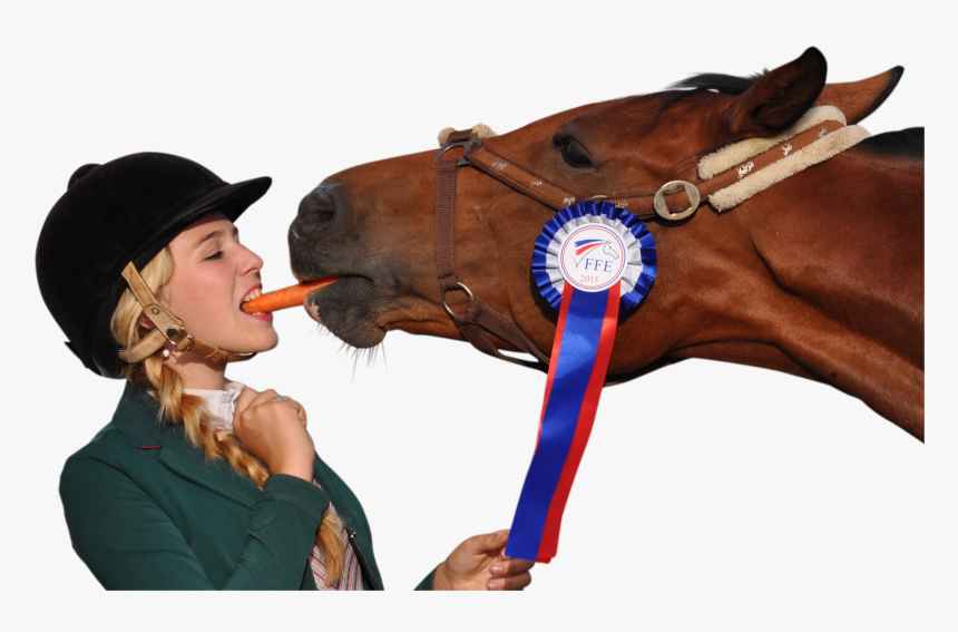 Can Horses eat Carrots