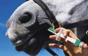 Is Rotational Worming Horses Best