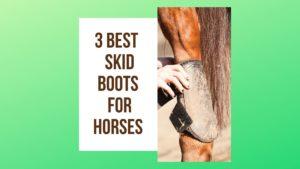 What are the Best Skid Boots for Horses on the Market? in 2022