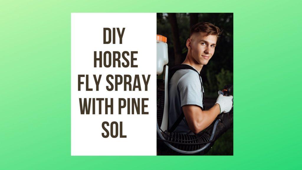 Homemade Horse Fly Spray With Pine Sol