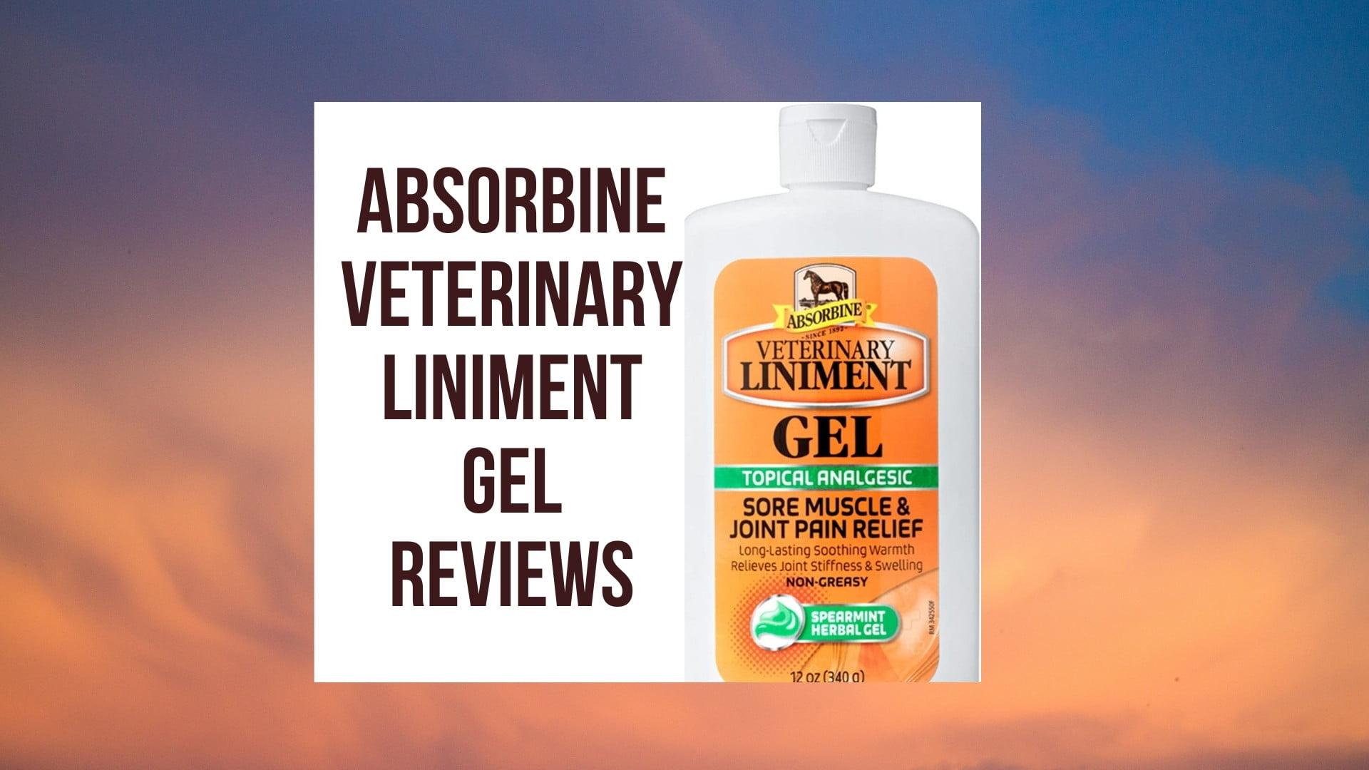 Absorbine Veterinary Liniment Gel Reviews