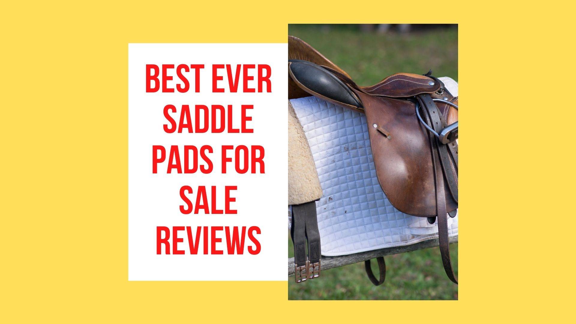 Best Ever Saddle Pads for Sale reviews