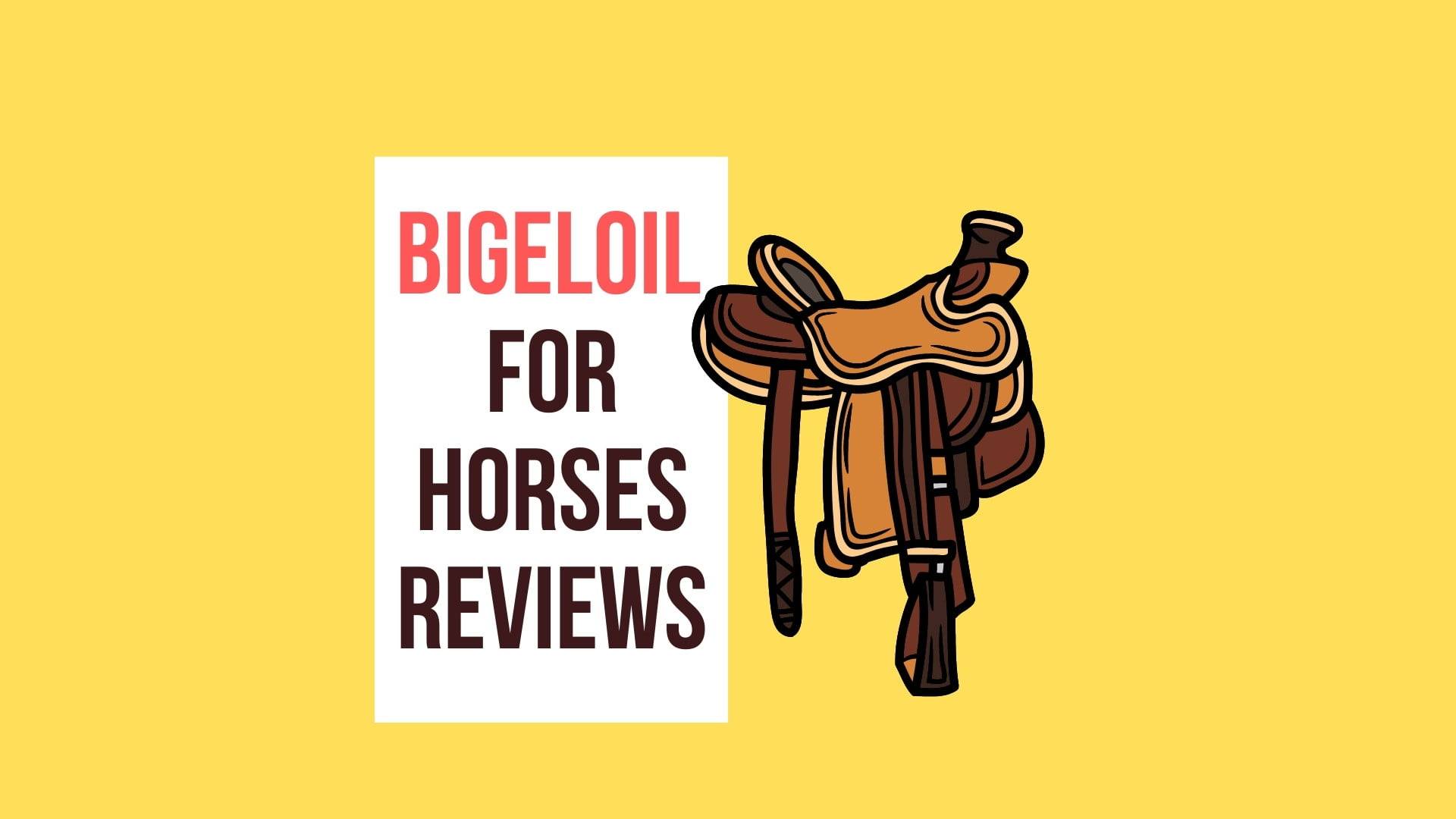 Bigeloil for horses