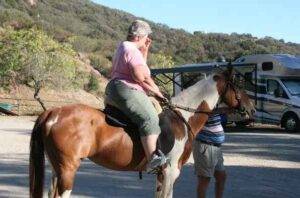 Can A Horse Carry A 300 Pound Person