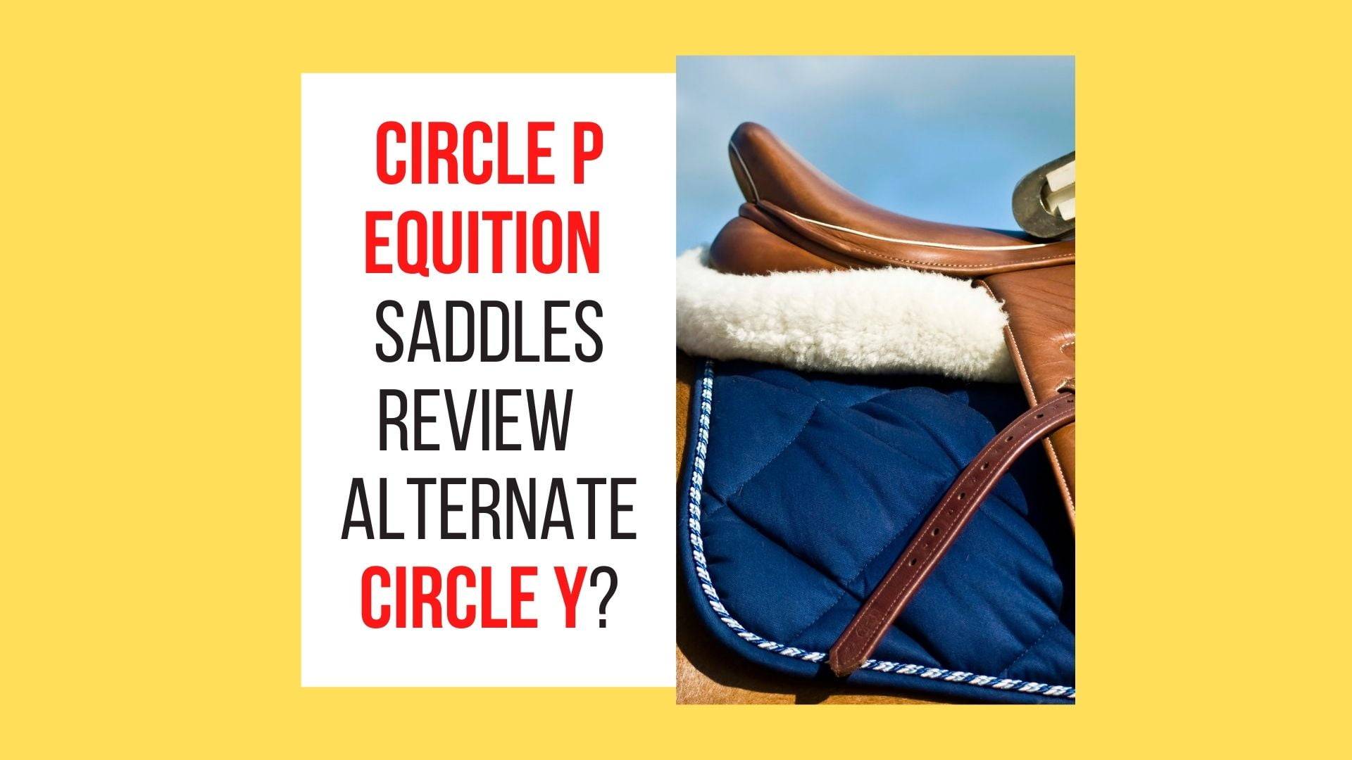 Circle P Equitation saddle Review