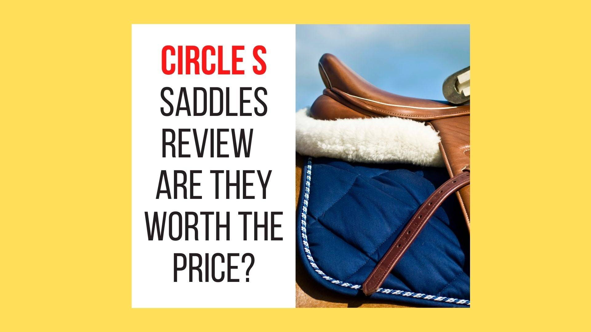 Circle S Saddles Review