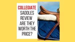 Collegiate Saddles Review