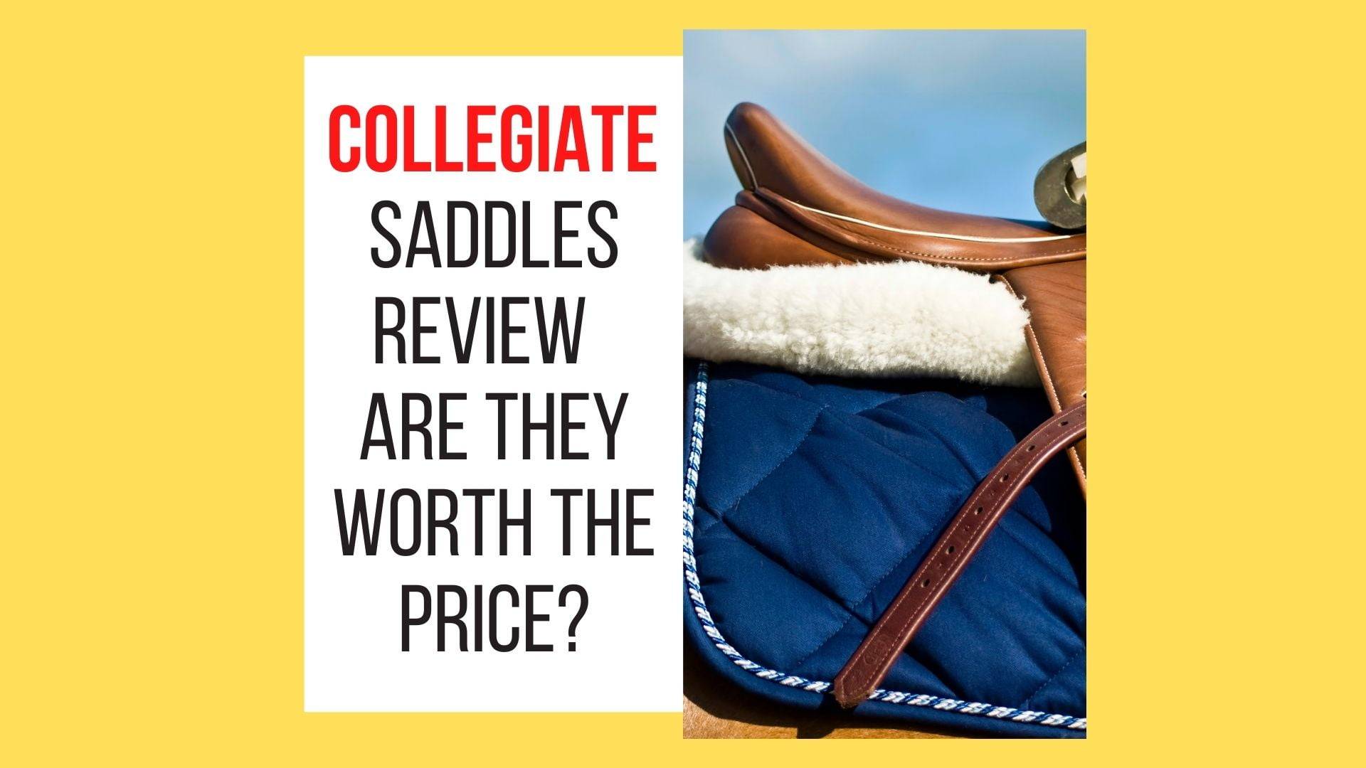 Collegiate Saddles Review