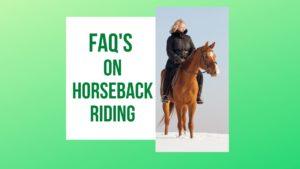 FAQ'S On Horseback Riding | 80+ Questions Answered!