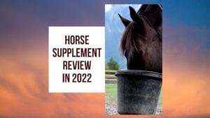 Horse Supplement Review