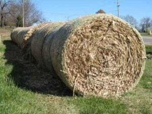 How Much Does a Roll of Hay Cost? in 2022